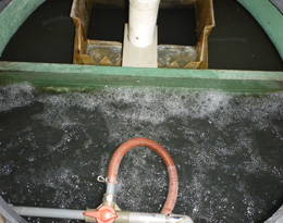 施工事例 完了｜サムネイル